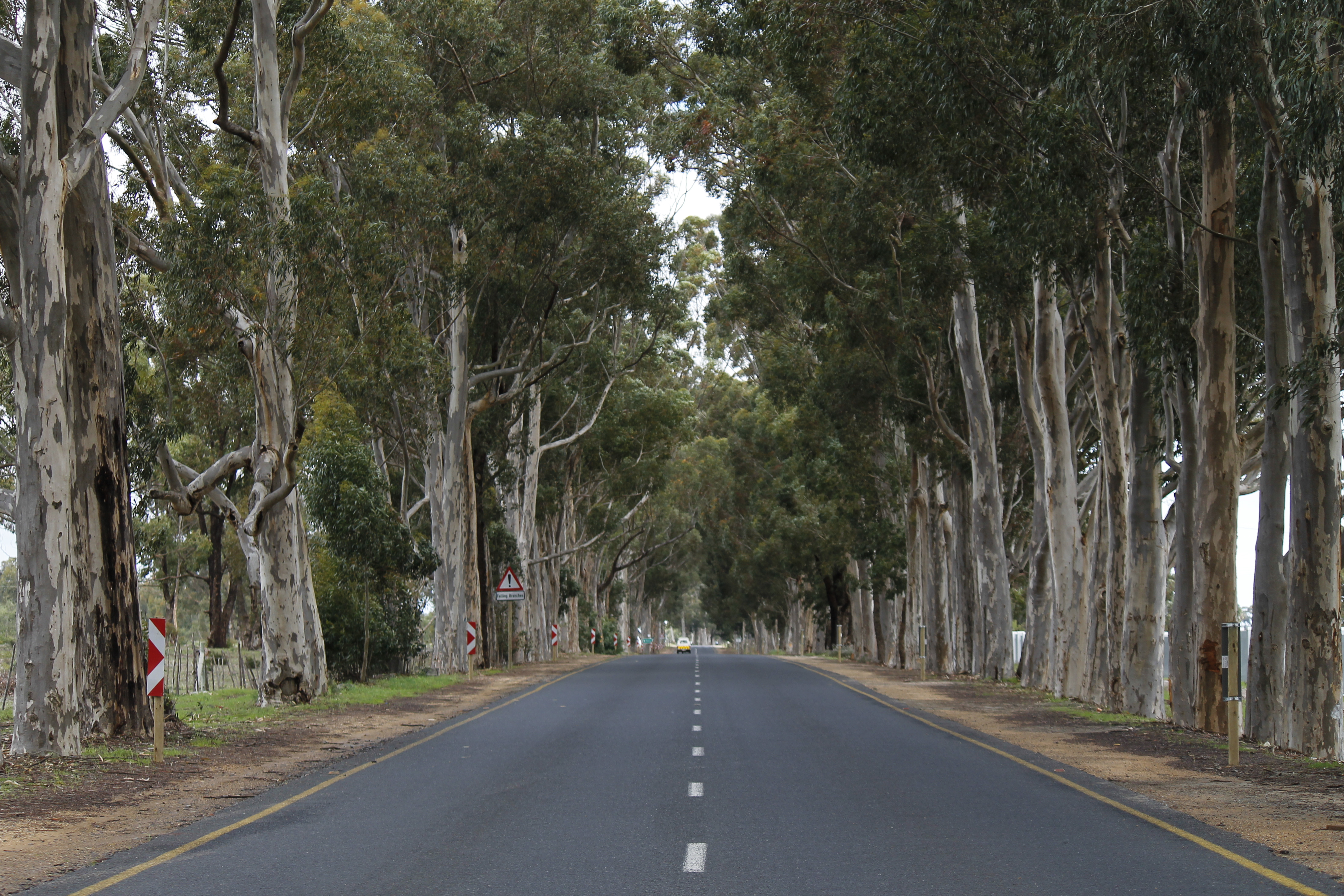 Community life in Atlantis, Western Cape